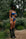 lahi swim CHERRIÈ V CUT CHEEKY BOTTOM - MIDNIGHT BLUE